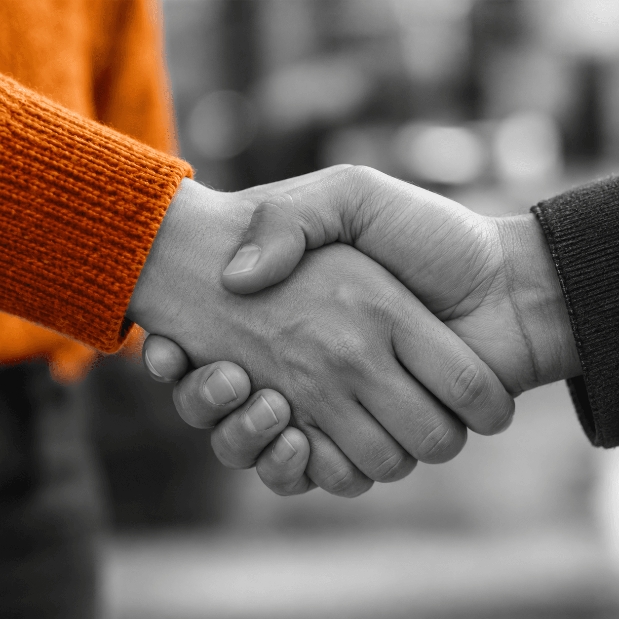 DOCUGO recherche testamentaire